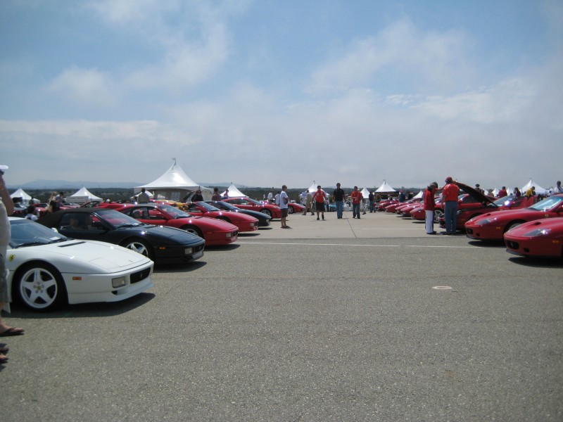 Ferraris2.JPG