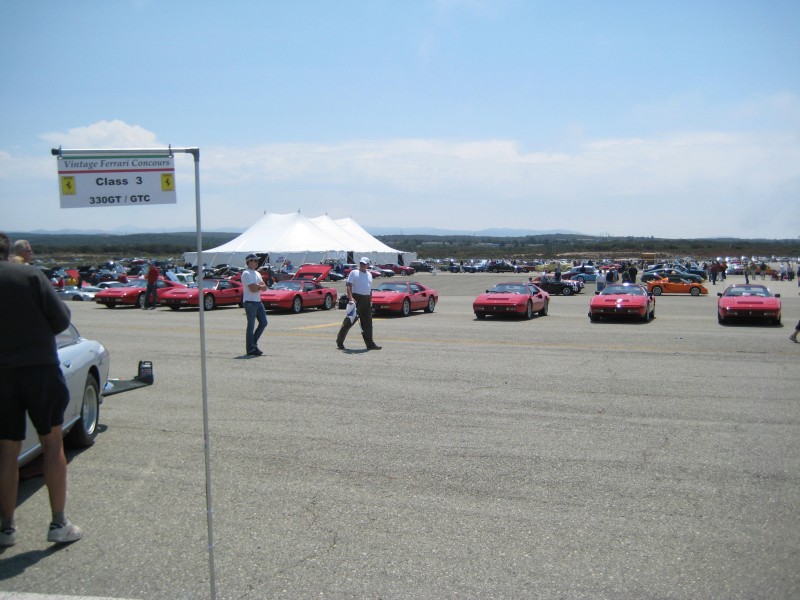 Ferraris3.JPG