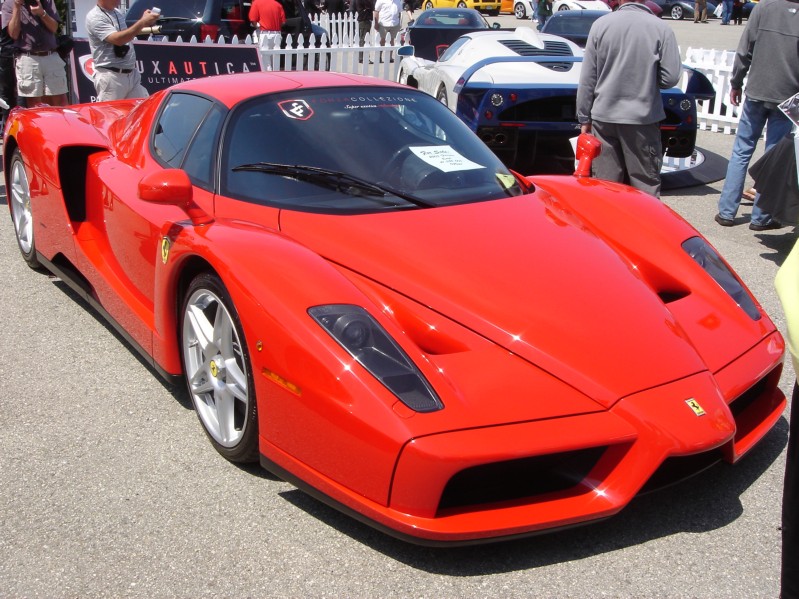 Enzo.JPG