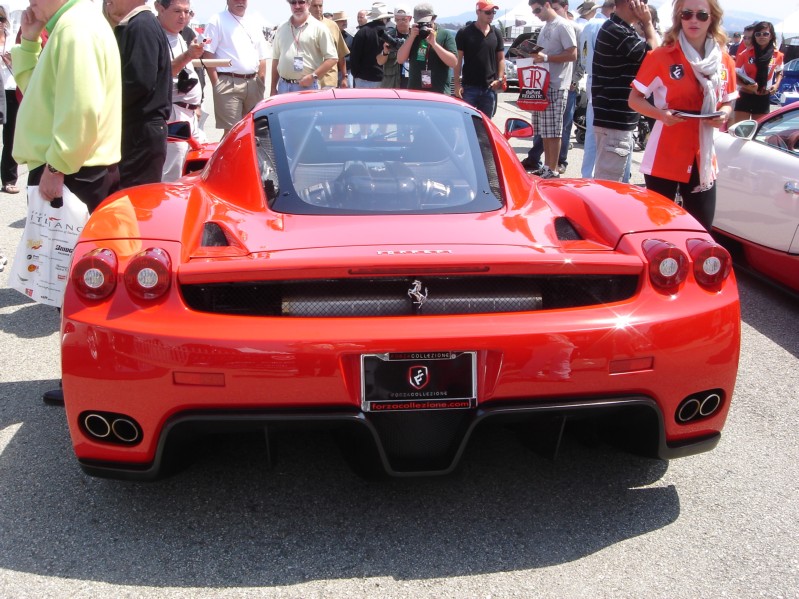 Enzo2.JPG