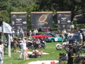 Quail_02.JPG