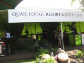 Quail_09.JPG